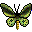 richmond birdwing butterfly icon